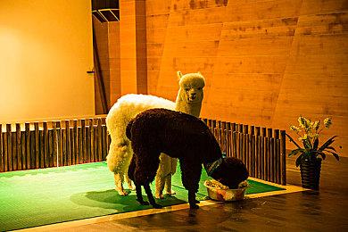 《七龙珠：破界斗士》10分钟实机游戏演示分享